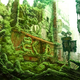 Illustration for article titled Tokyo's Eco-Apocalypse